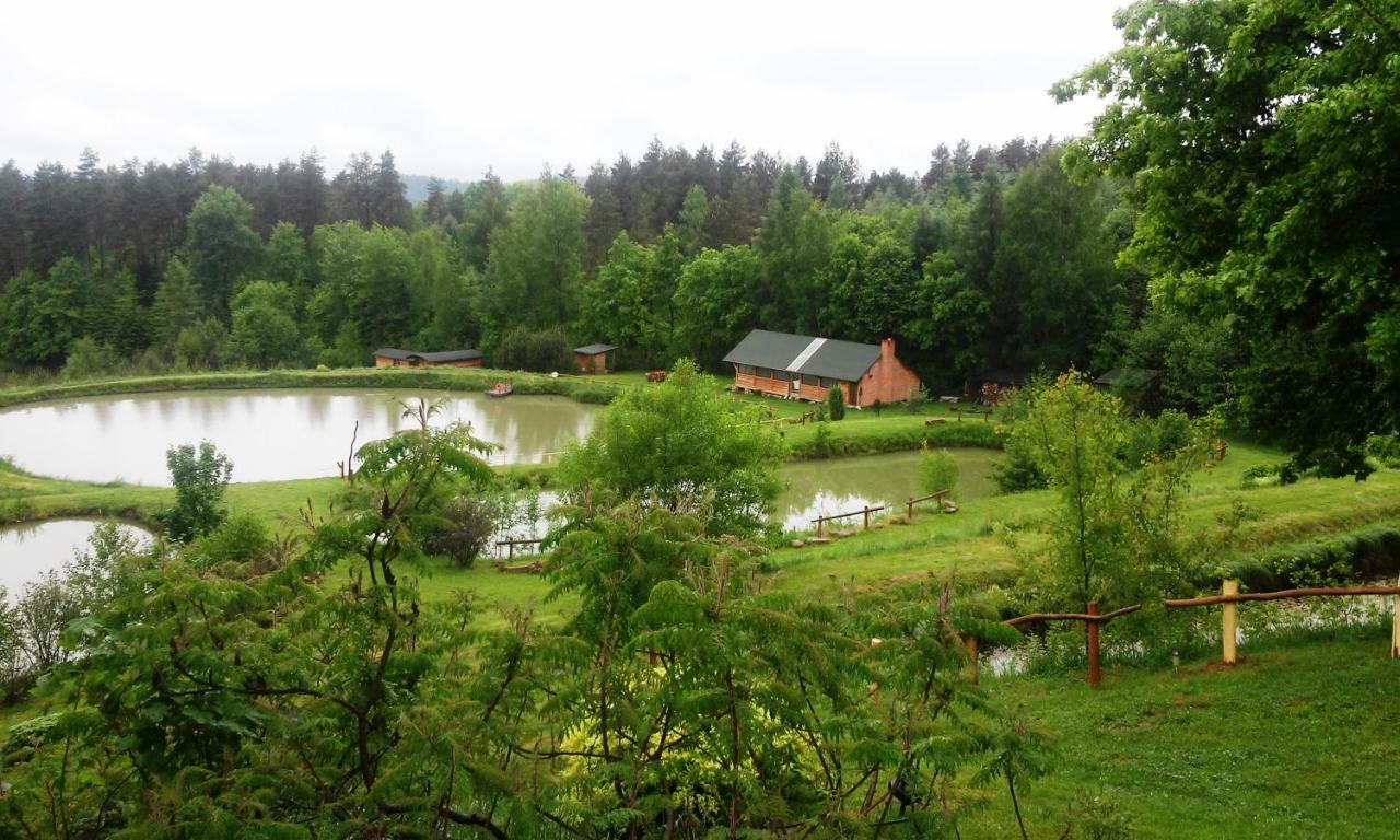 Dolina 4 Stawow Villa Krzywcza Luaran gambar