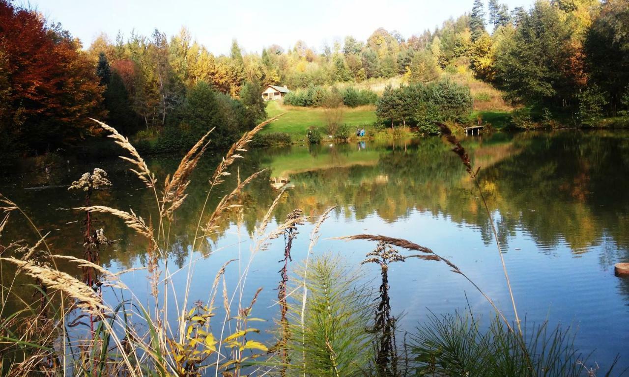 Dolina 4 Stawow Villa Krzywcza Luaran gambar